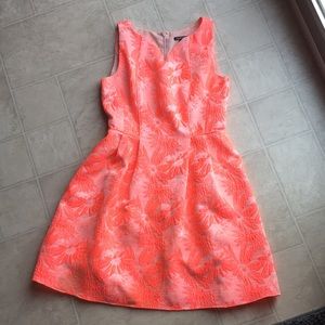Gianni Bini Dress Size 6